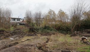 Tras sistema frontal: Ministerio de Agricultura declara emergencia agrícola en la región del Biobío