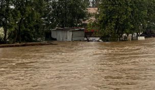 Senapred: Alerta Amarilla para las comunas de Rauco, Sagrada Familia, Hualañé, Licantén y Curepto por crecida