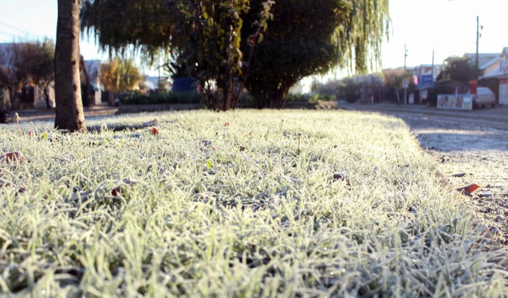 Hasta -6 °C: DMC emite “advertencia agrometeorológica” por heladas en tres regiones