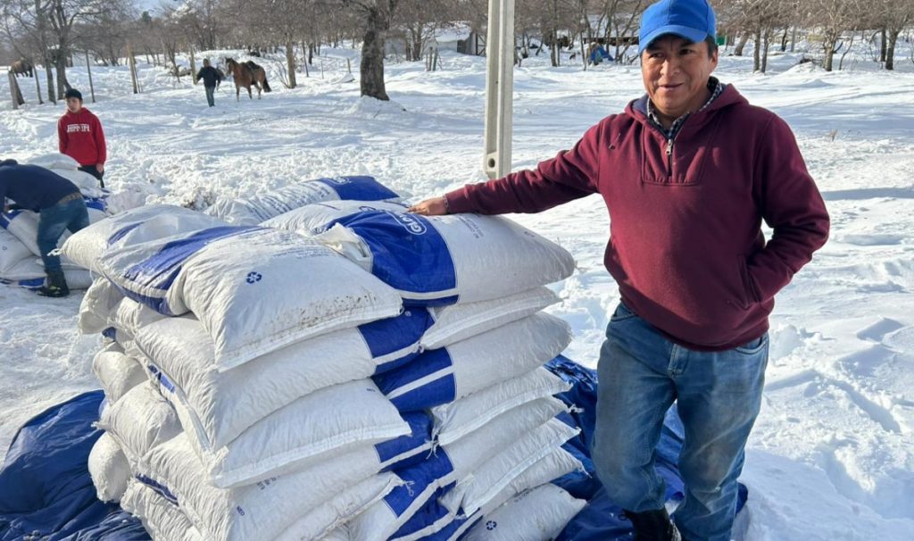Gobierno comenzó entrega de alimentación animal para más de dos mil agricultores en Alto Biobío