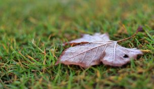 Por fenómeno de La Niña: Agroclimatólogo alertó sobre heladas intensas en diversas zonas del país