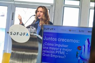 SOFOFA lanza manual con buenas prácticas para fortalecer relación entre Grandes Empresas y Pymes