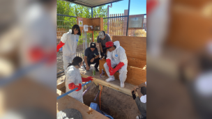 San Pedro de Atacama: Alumnos del liceo Likan Antai logran reciclar 17 mil litros de agua al mes gracias a reutilización de aguas grises