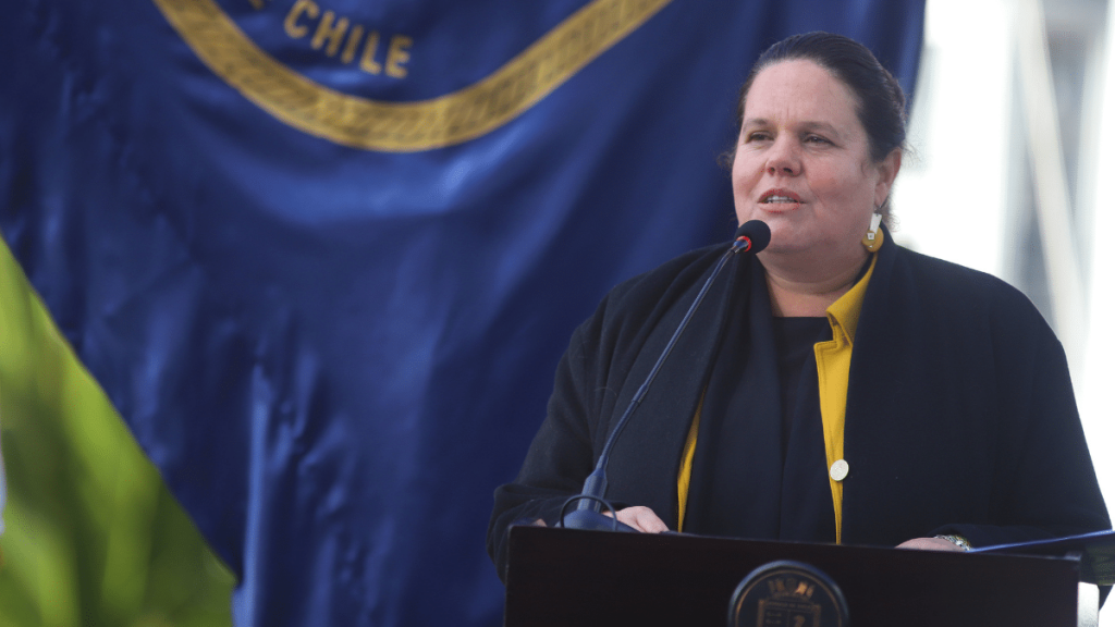 Ministra Fernández confirma que Argentina reubicará los paneles solares en “las próximas horas”