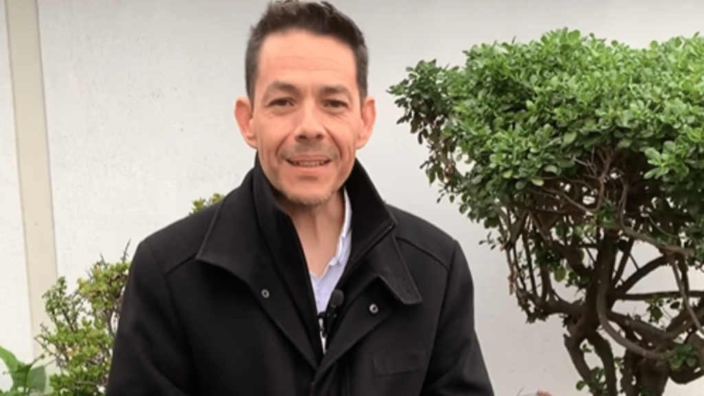 Primarias gobernadores regionales