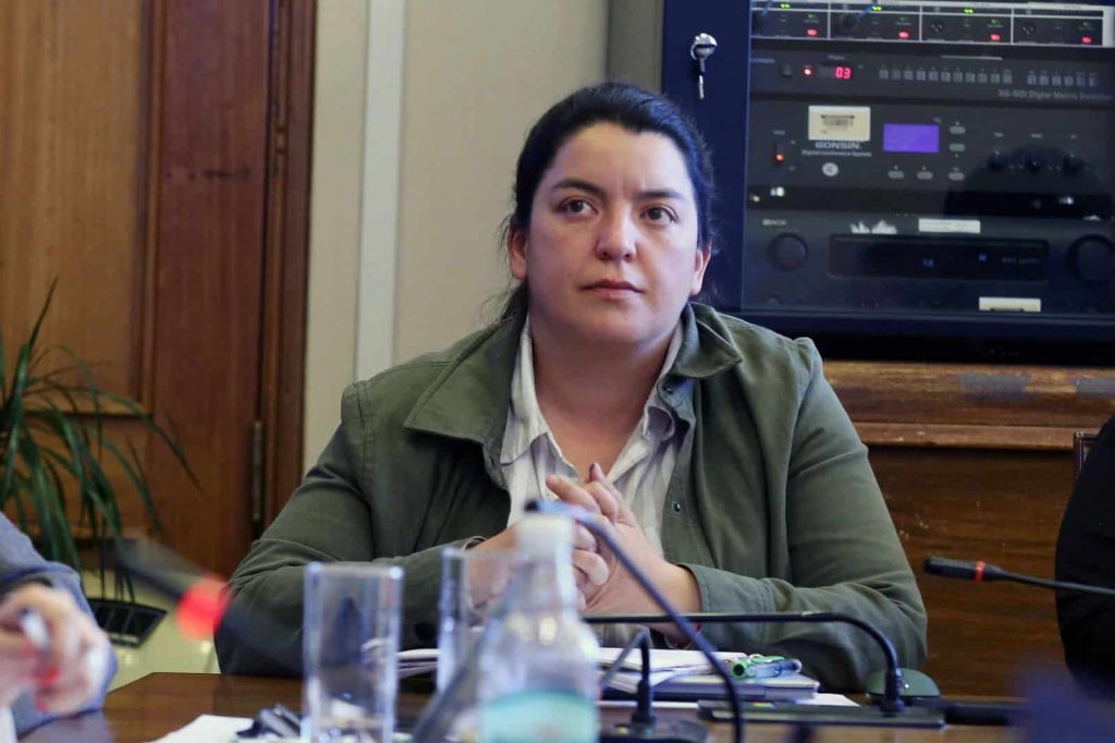 Diputada Romero califica como un fracaso la política de protección a la mujer del Gobierno tras nuevo femicidio en Villarrica