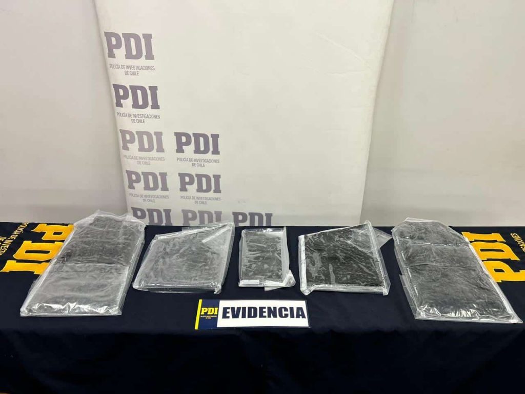 Evidencia - PDI