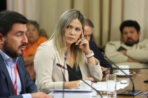 Diputada Marlene Pérez solicita al ministro de Energía a incluir a Hualpén como comuna beneficiaria de la rebaja tarifaria