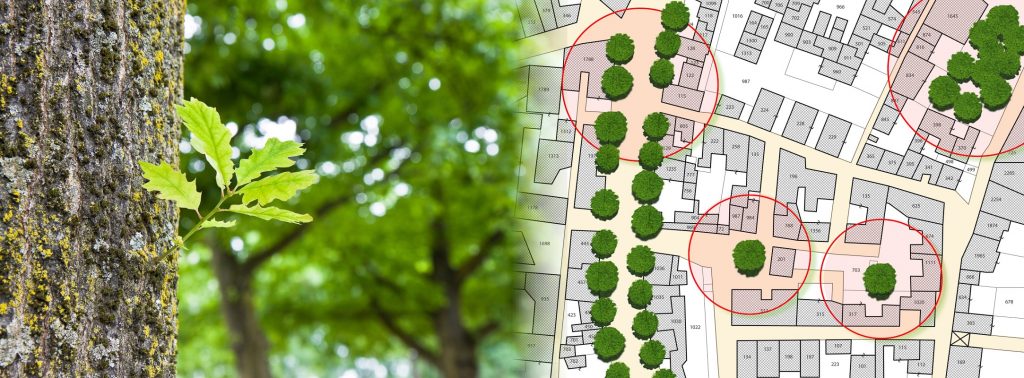 Este proyecto busca registrar la cantidad de árboles en Las Condes con Arbocensus.