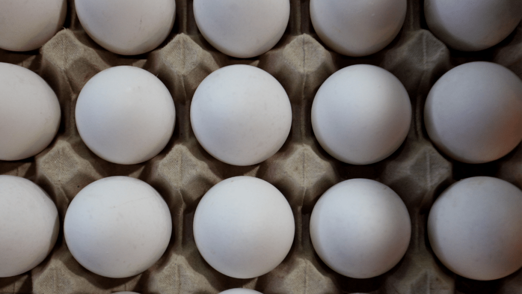 Alza en el precio de los huevos: estas son las opciones ricas en aminoácidos que se pueden usar en su reemplazo