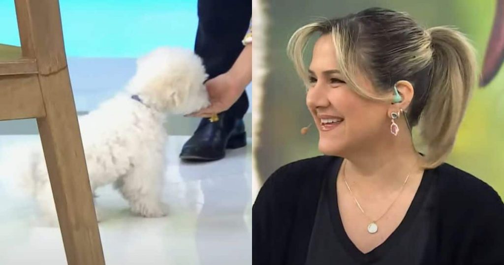 ¡Me vas a dejar en vergüenza!’: El divertido momento de Michelle Adam y su cachorro en vivo