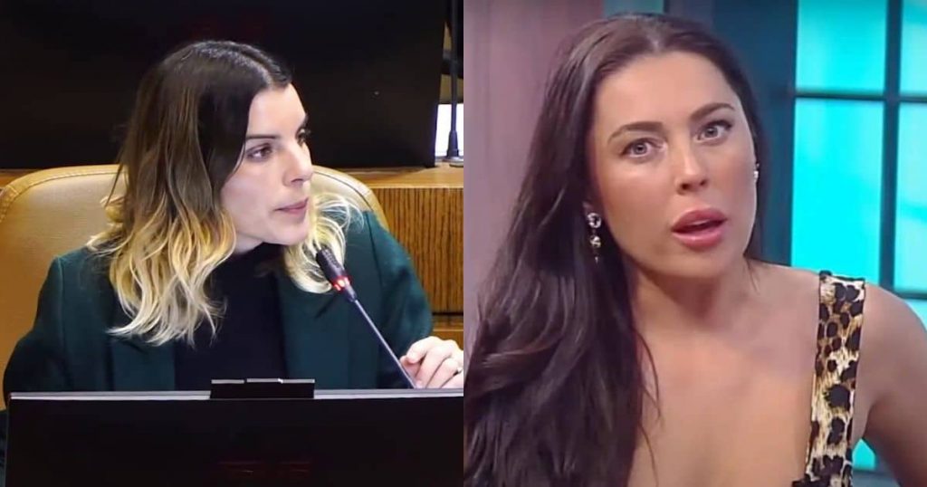 ¿Detrás un biombo?: La llamativa petición de Maite Orsini en su querella contra Daniela Aránguiz