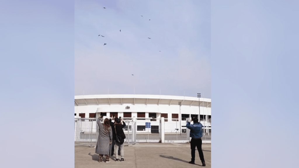 Cóndores volando sobre el Estadio Nacional: ¿Fue real el video que se viralizó en redes sociales?