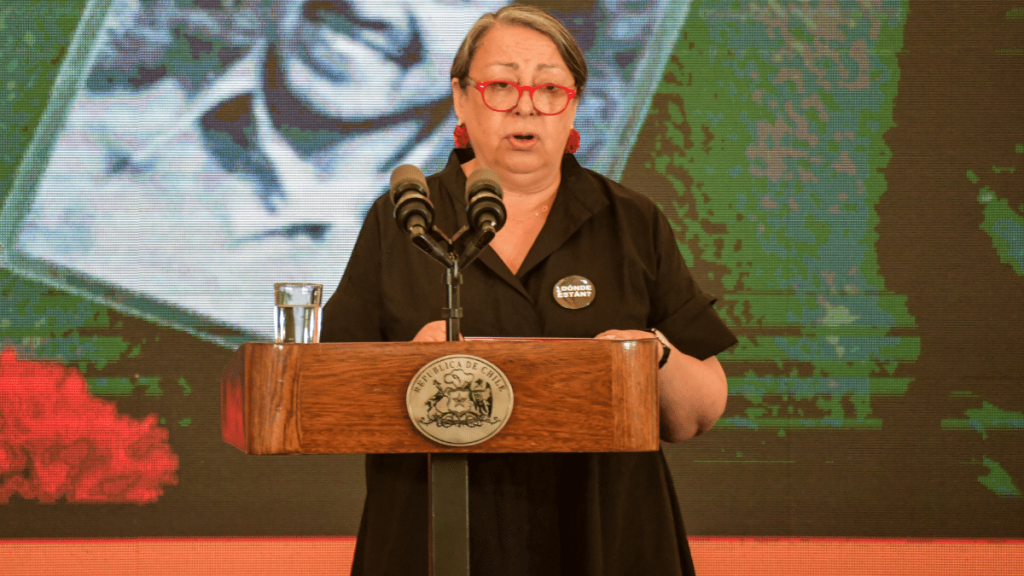 Directora del Instituto Nacional de Derechos Humanos (INDH), Consuelo Contreras. 