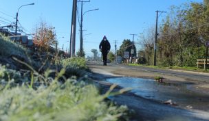 Hasta -6 °C: Emiten advertencia agrometeorológica por heladas en siete regiones, incluido Santiago