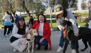 Santiago inaugura primera veterinaria municipal: 