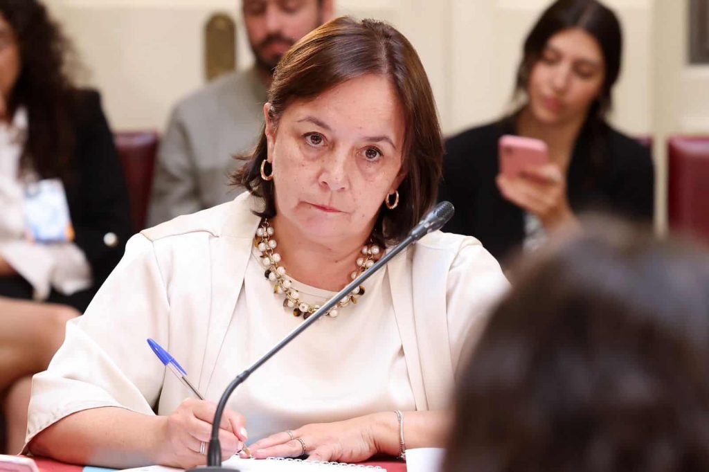 Senadora por la Araucanía - Carmen Aravena