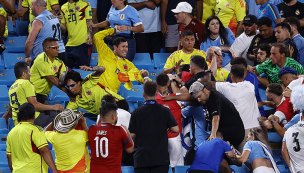 Pato Yáñez tras la pelea entre uruguayos y colombianos: 