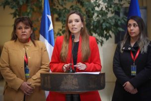 Diputada Camila Flores y dirigentes circenses solicitan al Mineduc financiamiento para la educación de niños de circo