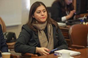 “Incompetentes”: Diputada Karen Medina emplazó a las autoridades por desalojo de tomas en Los Álamos en pleno invierno