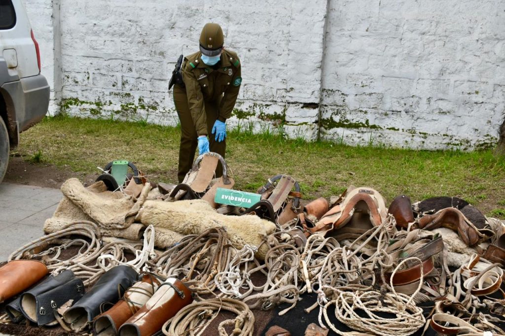 Carabineros detiene banda delictual y recupera millonario botín