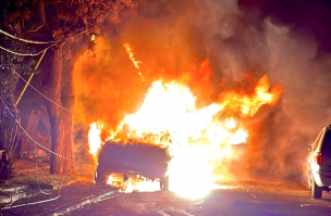 Macul: Árbol cae sobre tendido eléctrico y provoca incendio que destruyó tres autos