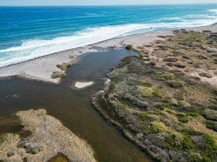 Ministra Rojas anuncia declaratoria de Santuario de la Naturaleza en Desembocadura Río Loa