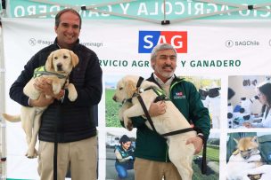 SAG presenta nuevos canes detectores para fortalecer la seguridad fronteriza de Chile