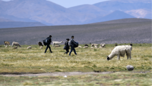 Parlamentarios de Chile Vamos presentan 10 propuestas en materia de migración