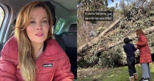 El temporal no perdona: Cathy Barriga comparte su experiencia con caída de árbol y corte de luz