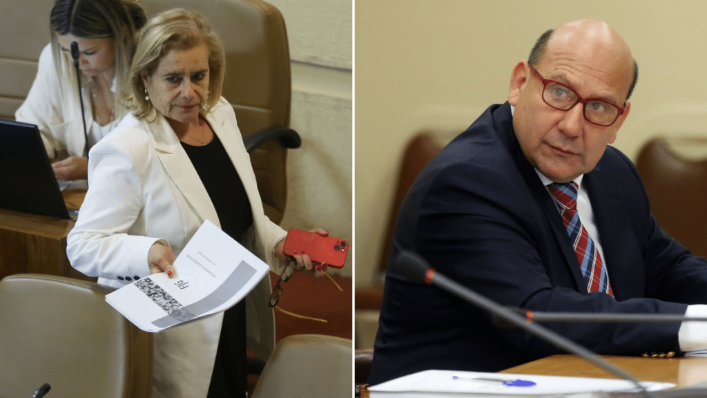 La gran "cantidad de cables en desuso (…) pueden caer sobre las personas que están caminando en el lugar", deicen los diputados UDI. Cedida.