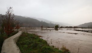 Senapred solicita evacuar sectores de la comuna de Arauco por desborde del río Pichilo