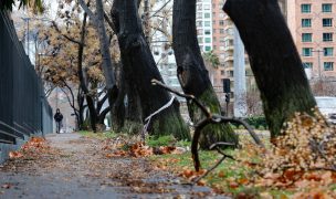 Sistema frontal en la RM: Estación de Pudahuel registró una intensidad de viento de 124 km/h