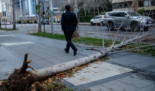 Actualización | SEC: Más de 1 millón de clientes sin electricidad en el país