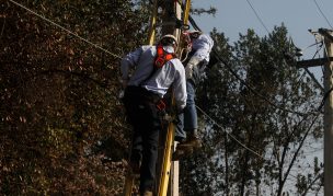 Felipe Larraín por distribución eléctrica: 