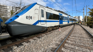 Tren del servicio Limache-Puerto sufre 