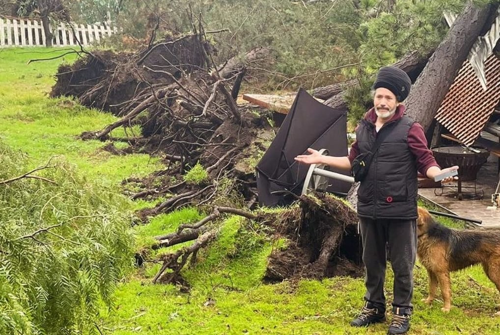 Cae árbol sobre la casa de Quique Neira en Batuco