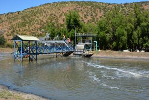 Tribunal Ambiental condena a Municipalidad de Nogales por daño ambiental debido a planta de tratamiento de aguas servidas