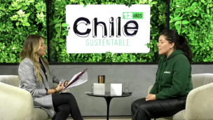 Chile Sustentable: El aporte de “Ecoterra” al medio ambiente