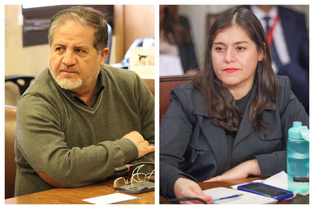 Parlamentarios del Biobío 