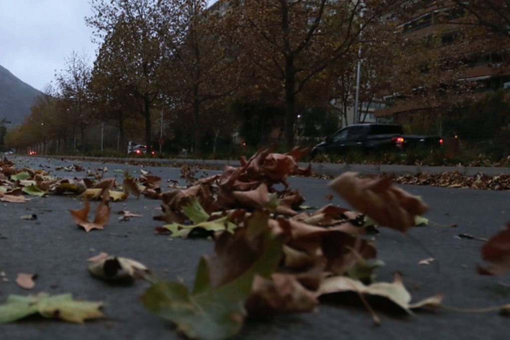 Aviso por viento en cinco regiones del país: RM entre las afectadas