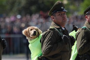 Parada Militar: desvíos de tránsito en Santiago por ensayos en Parque O’Higgins