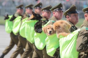 Este fue el esperado paso del Grupo Canino por la Parada Militar 2024