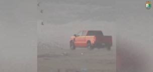 Armada anuncia acciones contra conductor de camioneta acusado de muerte de aves marinas en Ritoque