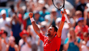 Novak Djokovic y Del Potro jugarán un partido de exhibición en Argentina