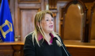 Diputados oficialistas anuncian denuncia a Fiscalía y acusación constitucional contra Ángela Vivanco por Caso Audios