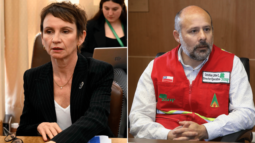 Ministra Tohá tras renuncia de Christian Little a Conaf: “La institución tuvo avances muy significativos en esta etapa”