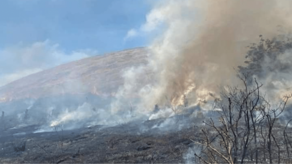 Decretan Alerta roja por incendio forestal el Mostazal