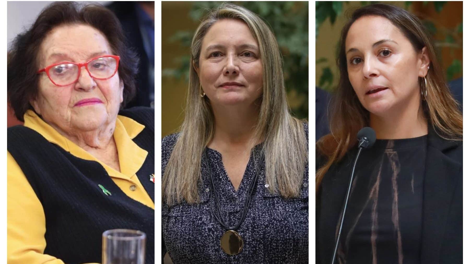 Diputadas María Luisa Cordero, Catalina del Real, Carla Morales y seguridad en Barrio Bellavista