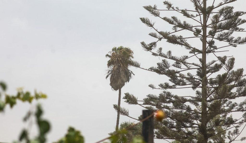 DMC emite alerta por viento en una región: Hasta 110 km/h y “desarrollo de tormentas de arena”